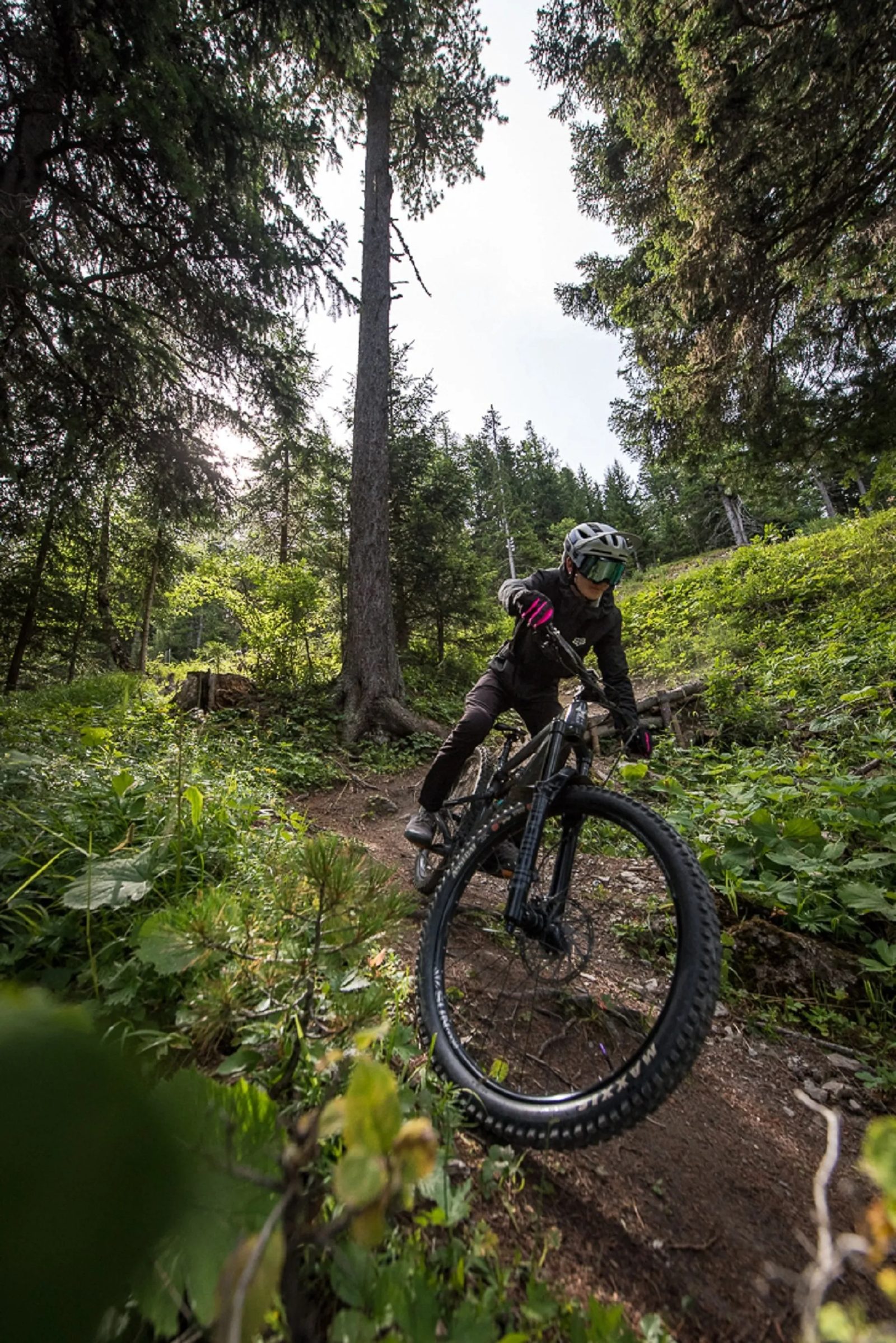 VTT sur les sentiers forestiers autour d'Orelle